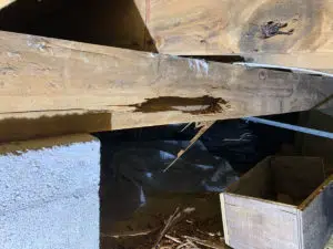 Damaged Floor Framing