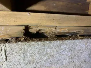 Cracked Floor Beams